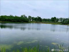 -三圣花乡旅游区