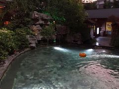 -杭州第一世界大酒店·云曼温泉