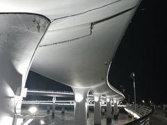 -演武大桥观景平台