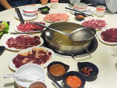 -陈记顺和潮汕牛肉火锅(韩江路店)