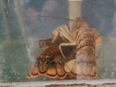 -天天渔港海鲜酒家(石浦玉泉路店)