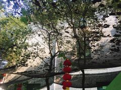 -宾湖农庄·农场特色(太湖龙之梦店)