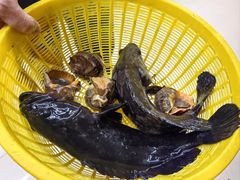 -鑫鸿达·海鲜闽菜热炒小馆(中山路店)