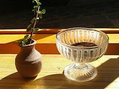 -YLK云南小粒咖啡·云里咖(二号店)