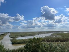 -盐城丹顶鹤湿地生态旅游区