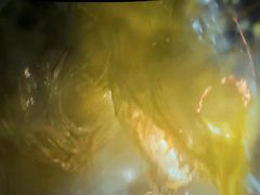-万达影城(通州万达广场IMAX+杜比影院店)