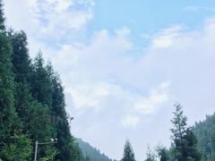 -武陵山森林公园