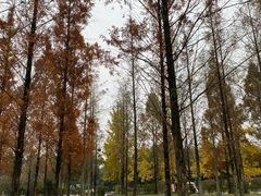 -成都南湖公园