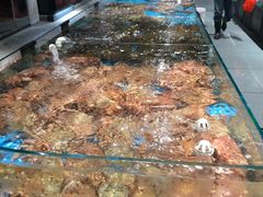 -苏先生海鲜渔庄(金桥店)