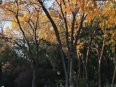 -玲珑塔公园