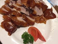 北京烤鸭-北京烤鸭店