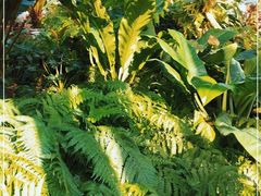 -国家植物园南园