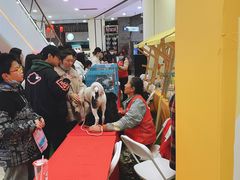 -吾悦广场(南京鼓楼店)