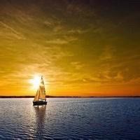 -薇兰专业脱毛连锁机构