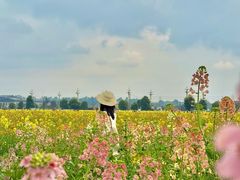 -中国天府农业博览园