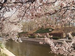 -元大都城垣遗址公园