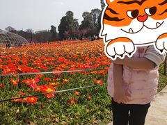 -秀丽东方