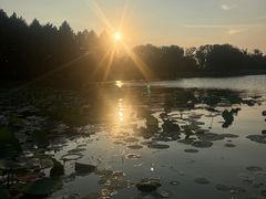 -澹台湖公园