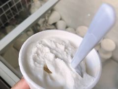 椰子雪糕-洪馨椰子