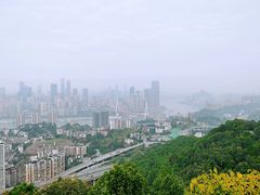 -南山植物园