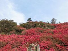 -木兰云雾山