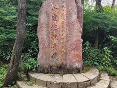 -綦江古剑山