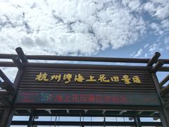 -杭州湾海上花田景区