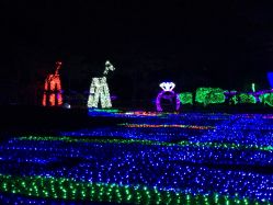 -郑州市世纪公园
