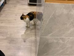 -吉友粥底火锅(方斜路店)