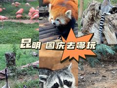 -云南野生动物园