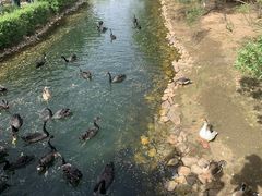 -长白岛森林公园