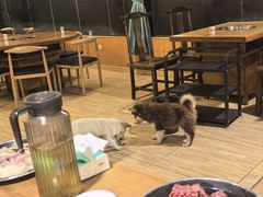 -小志家.野生菌鲜切牦牛肉牛杂火锅