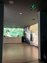 -盘子女人坊生日照·摄影馆(浦东店)