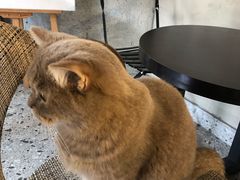 -MIMO CAFE(沙头角店)