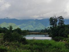 -大九湖