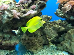 -秦皇岛新澳海底世界