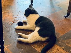 -Me Coffee下午茶艺术空间