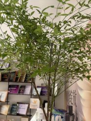 -佳颜轻医美·美学抗衰中心