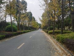 -黄陂区野村谷景区