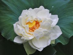 -黄兴公园