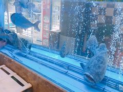 -海鲨湾海鲜会馆(百家湖1912店)