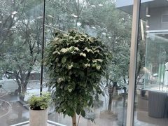 -ARKET CAFÉ(三里屯太古里店)
