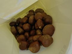 -粒上皇(崇文门店)