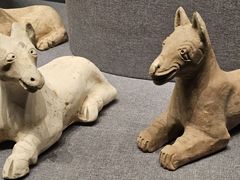 -广西壮族自治区博物馆