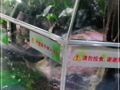 -上海大自然野生昆虫馆(东方明珠·爬宠昆虫探索中心)