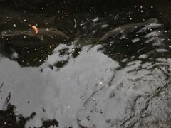 -侠成水上农庄(工业大道店)