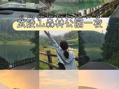 -武陵山森林公园