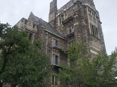 -普林斯顿大学