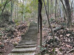 -上海佘山国家森林公园天马山园