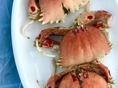 -南蚝小贝海鲜特色餐厅(南澳岛店)